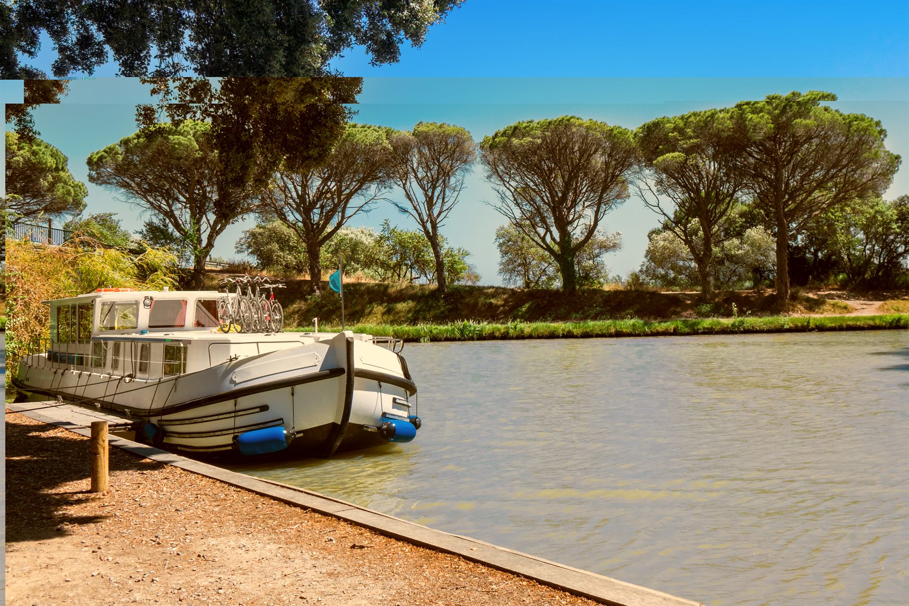 Canal barge moored under umbrella pines on the Canal du Midi